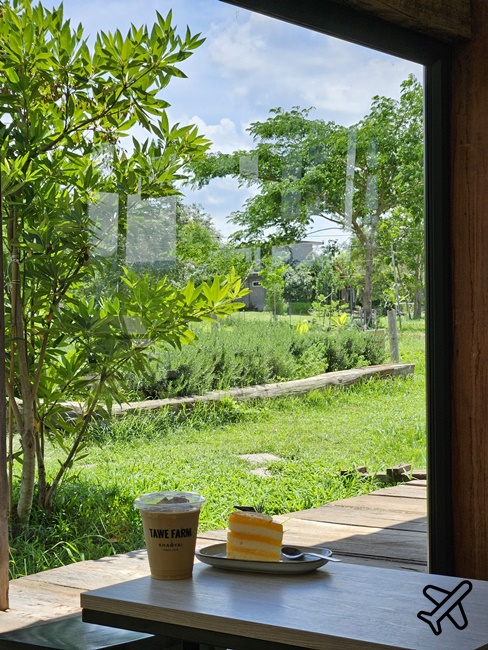 泰國考艾美食 考艾有機農場餐廳 田園咖啡廳 Tawe farm Khaoyai & Cafe 泰國旅遊推薦