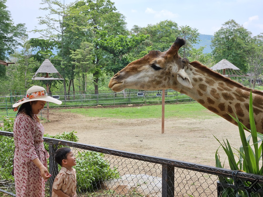 考艾景點 波那拉異國動物園 Bonanza Exotic Zoo 親子動物園 餵食體驗很有趣 泰國旅遊推薦