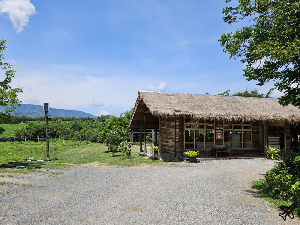 泰國考艾美食 考艾有機農場餐廳 田園咖啡廳 Tawe farm Khaoyai & Cafe 泰國旅遊推薦