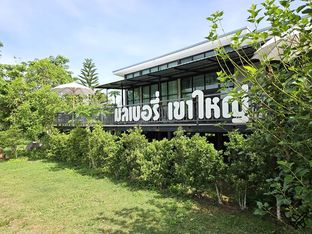 泰國考艾景點 桑椹考艾 有機桑椹農場 自採新鮮桑椹 Mulberry Khaoyai 泰國旅遊推薦 泰國考艾景點 桑椹考艾 有機桑椹農場 自採新鮮桑椹 Mulberry Khaoyai 泰國旅遊推薦