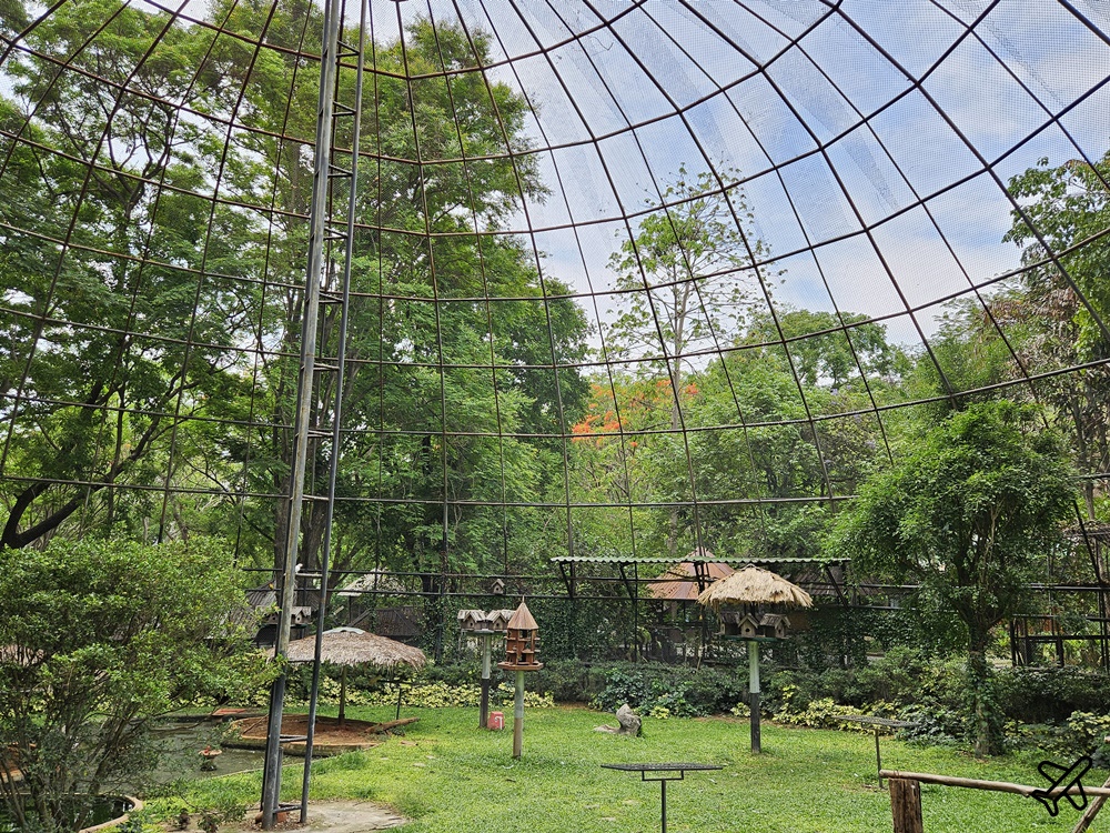 考艾景點 波那拉異國動物園 Bonanza Exotic Zoo 親子動物園 餵食體驗很有趣 泰國旅遊推薦