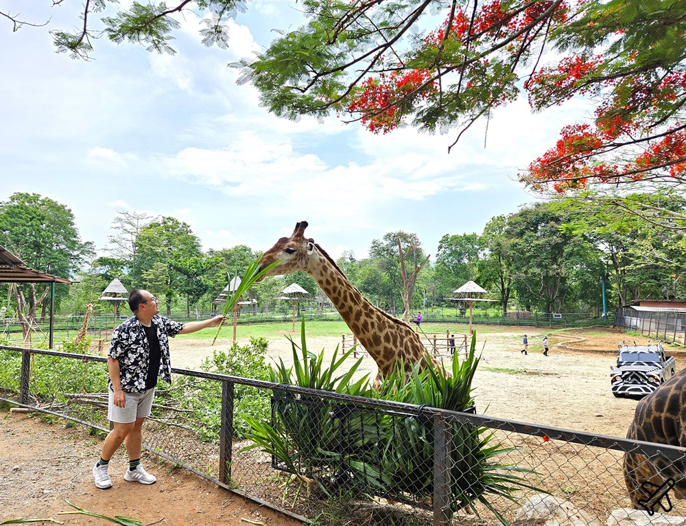 考艾景點 波那拉異國動物園 Bonanza Exotic Zoo 親子動物園 餵食體驗很有趣 泰國旅遊推薦 @AJ的旅行地圖
