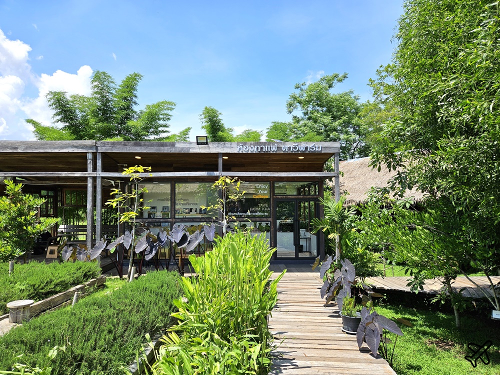 泰國考艾美食 考艾有機農場餐廳 田園咖啡廳 Tawe farm Khaoyai & Cafe 泰國旅遊推薦 @AJ的旅行地圖
