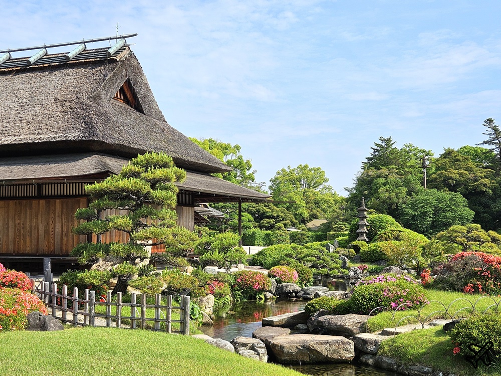 日本岡山後樂園 日本三名園之一 岡山城景觀咖啡廳 日本岡山景點推薦