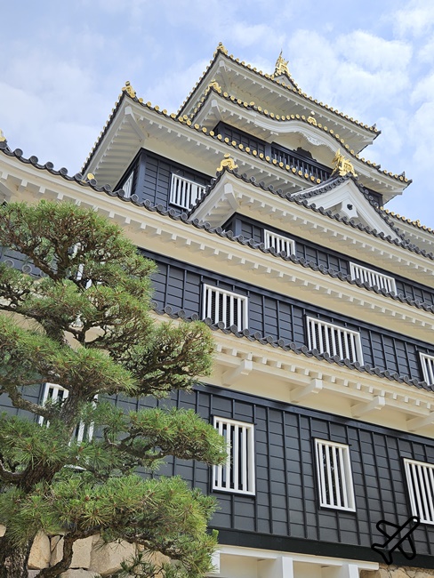日本岡山城、岡山神社 第一次岡山自由行要來的地方 日本岡山景點推薦