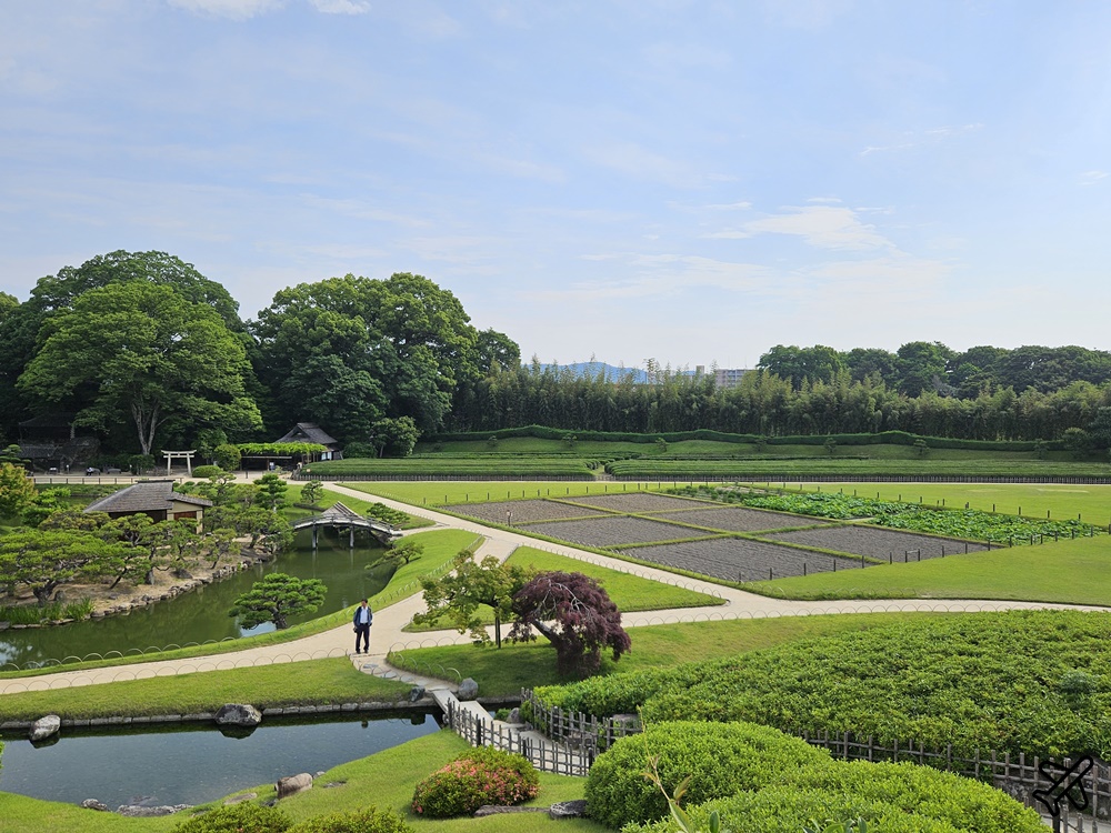 日本岡山後樂園 日本三名園之一 岡山城景觀咖啡廳 日本岡山景點推薦