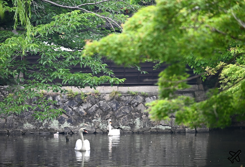 日本岡山景點 倉敷美觀地區 江戶時代倉庫建築群 岡山自由行推薦 日本岡山景點 倉敷美觀地區 江戶時代倉庫建築群 岡山自由行推薦