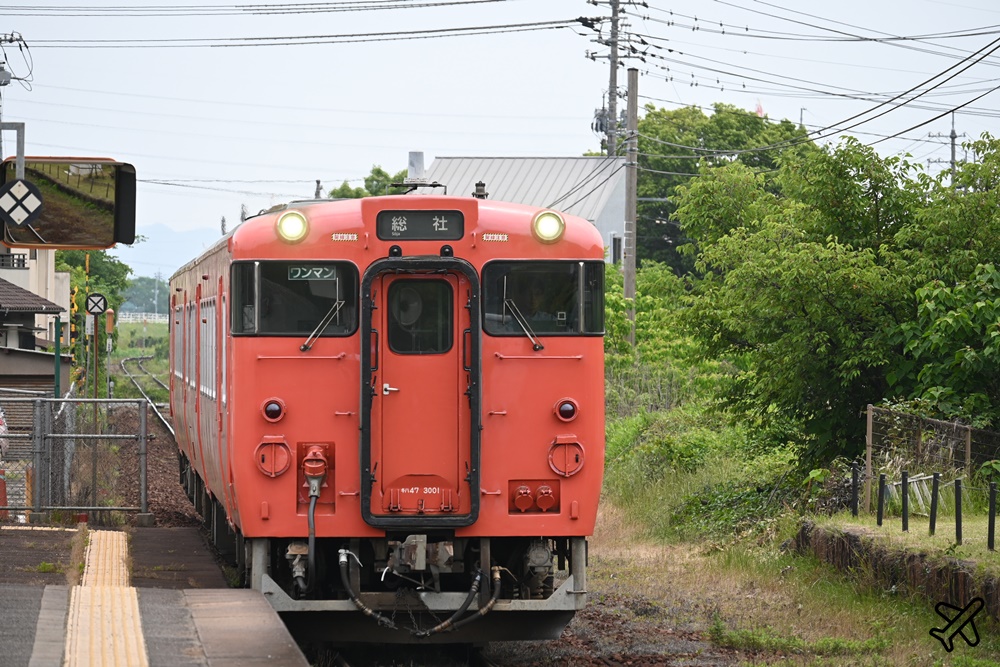 日本岡山景點 吉備津神社、吉備津彥神社 搭JR桃太郎線電車逛神社