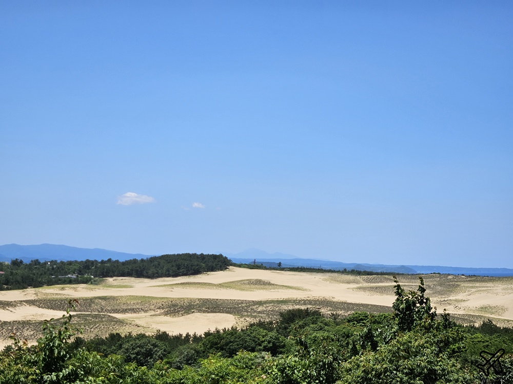 2026鳥取景點 鳥取砂之美術館 砂雕的世界旅行 鳥取自由行推薦