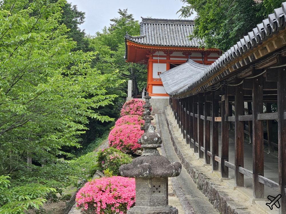 日本岡山景點 吉備津神社、吉備津彥神社 搭JR桃太郎線電車逛神社