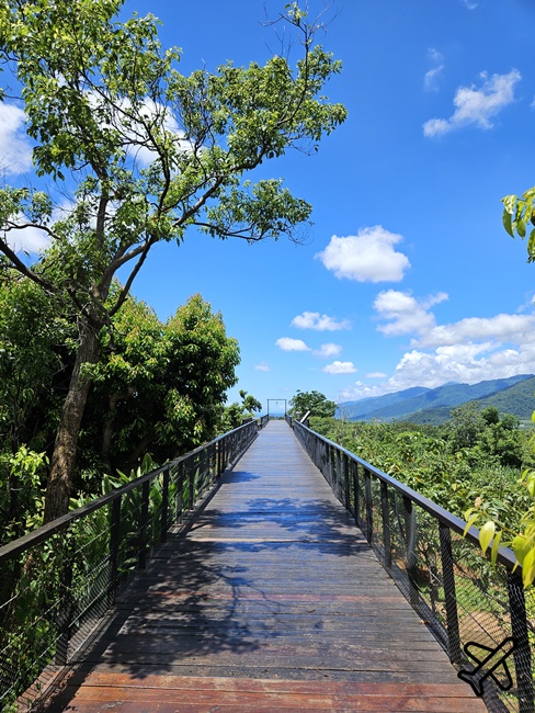 台東景點 原生應用植物園 養生火鍋吃到飽、親子牧場、空中步道 台東旅遊推薦