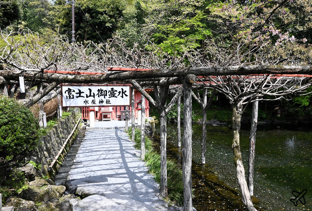 日本靜岡景點 靜岡富士山世界遺產中心、富士山本宮淺間大社 靜岡自由行推薦