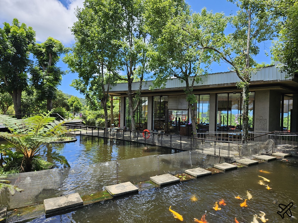台東景點 原生應用植物園 養生火鍋吃到飽、親子牧場、空中步道 台東旅遊推薦