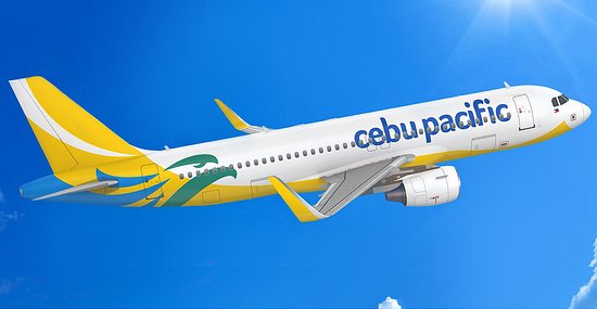 廉價航空可以帶外食嗎? 哪些低成本航空不禁帶外食?
