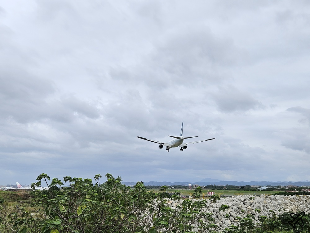 2026桃園美食 第三航廈機場咖啡 桃園機場跑道頭 桃園咖啡廳推薦