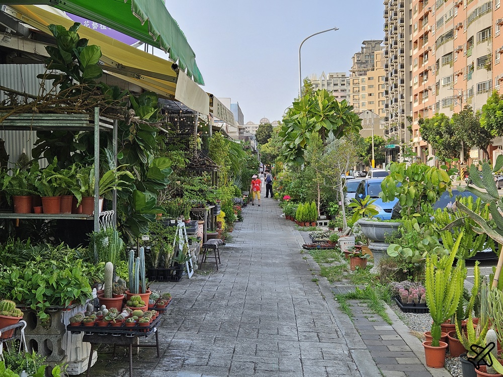 台中景點 台中花市與花卉拍賣市場 台中花市推薦