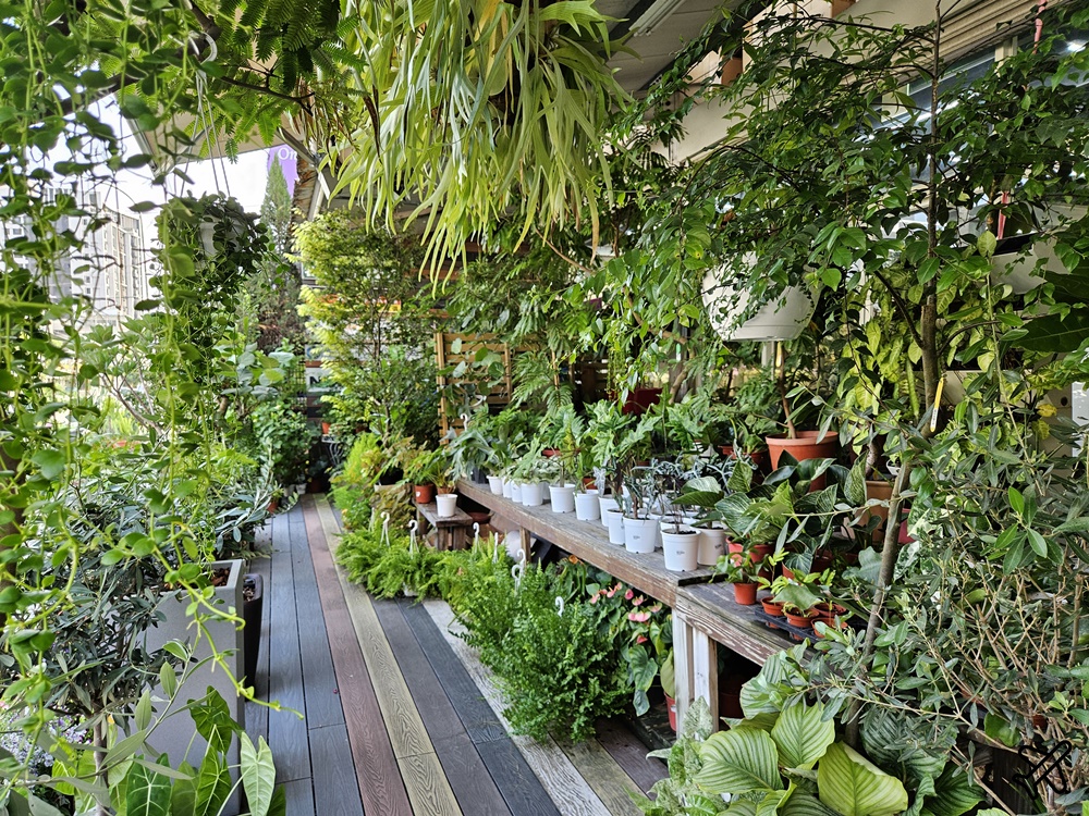 台中景點 台中花市與花卉拍賣市場 台中花市推薦