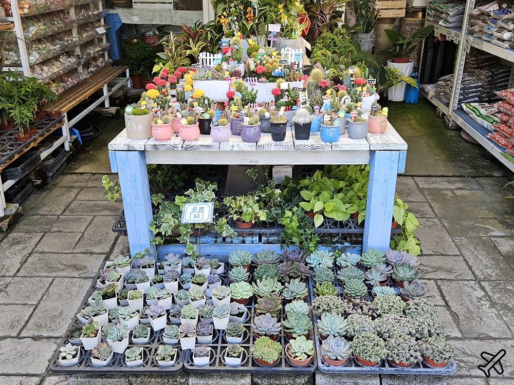台中景點 台中花市與花卉拍賣市場 台中花市推薦