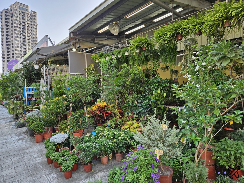台中景點 台中花市與花卉拍賣市場 台中花市推薦