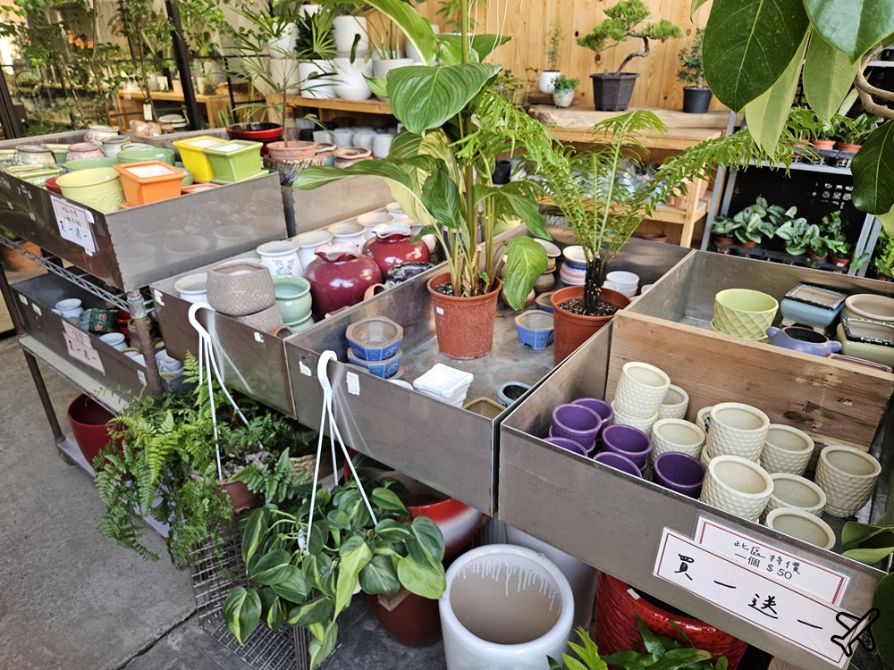 台中景點 台中花市與花卉拍賣市場 台中花市推薦