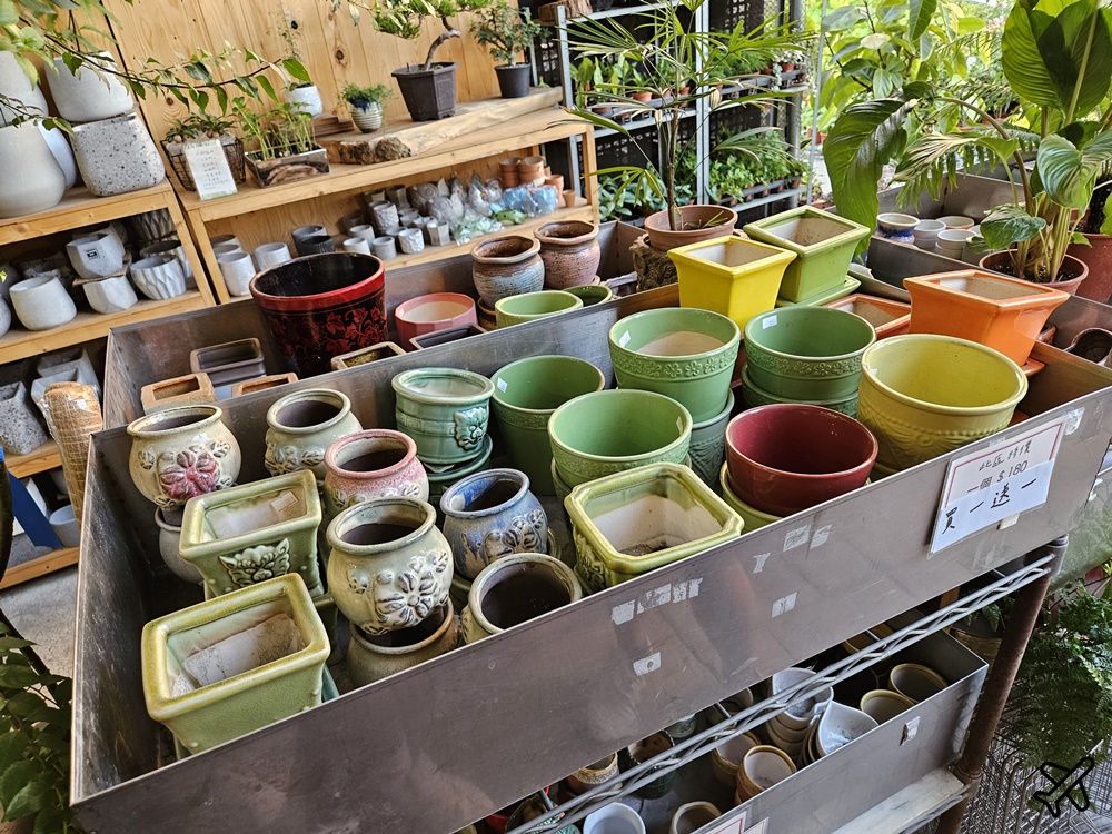 台中景點 台中花市與花卉拍賣市場 台中花市推薦