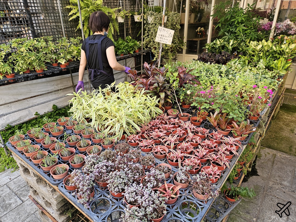 台中景點 台中花市與花卉拍賣市場 台中花市推薦