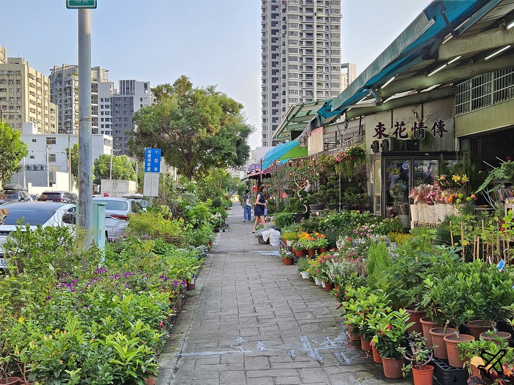台中景點 台中花市與花卉拍賣市場 台中花市推薦