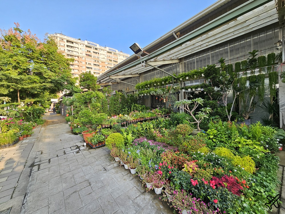 台中景點 台中花市與花卉拍賣市場 台中花市推薦