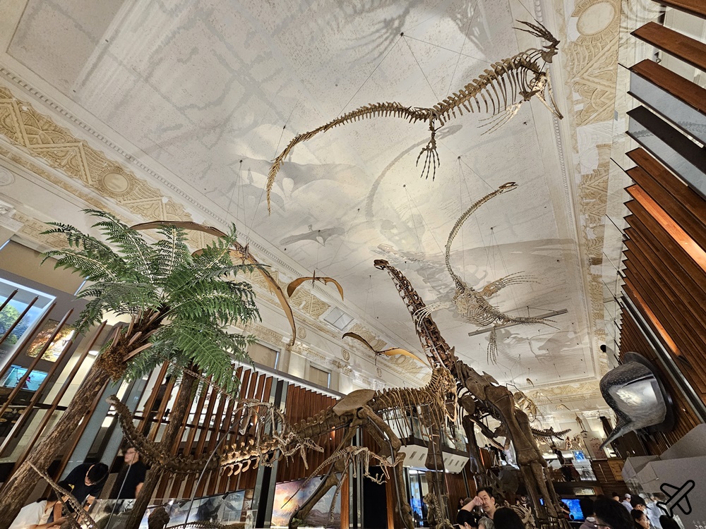 台北景點 台灣博物館 古生物館 土地銀行改建的恐龍博物館 台北一日遊 台北景點 台灣博物館 古生物館 土地銀行改建的恐龍博物館 台北一日遊