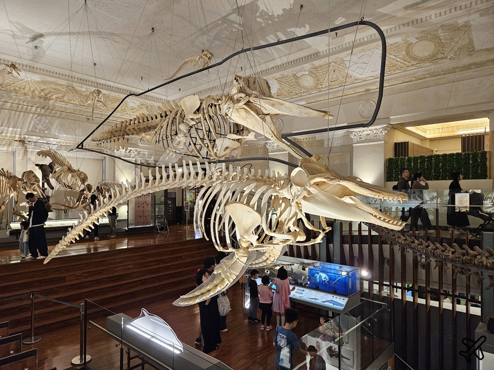 台北景點 台灣博物館 古生物館 土地銀行改建的恐龍博物館 台北一日遊