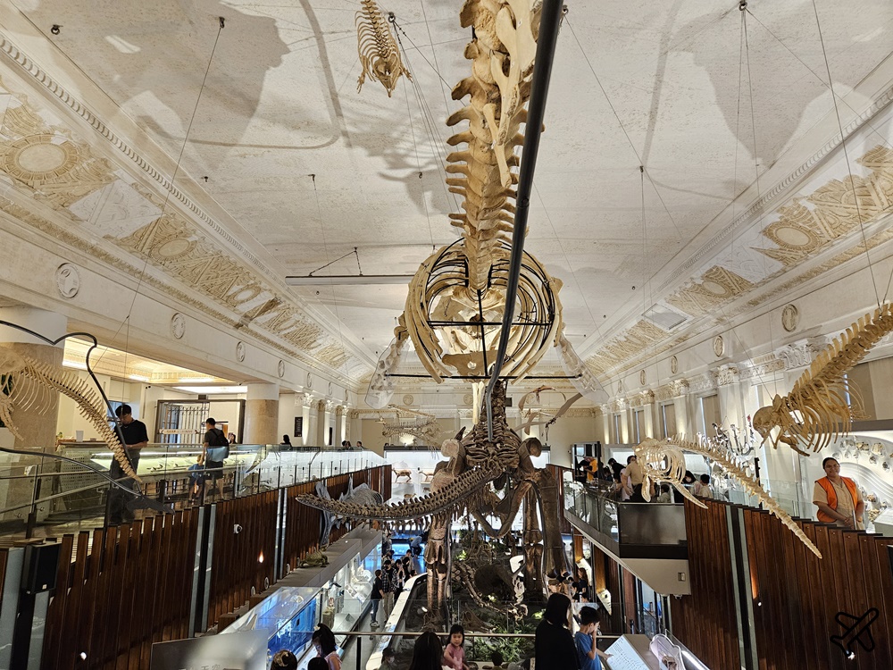 台北景點 台灣博物館 古生物館 土地銀行改建的恐龍博物館 台北一日遊