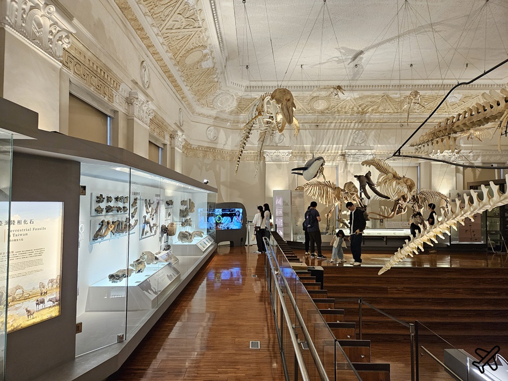 台北景點 台灣博物館 古生物館 土地銀行改建的恐龍博物館 台北一日遊 台北景點 台灣博物館 古生物館 土地銀行改建的恐龍博物館 台北一日遊