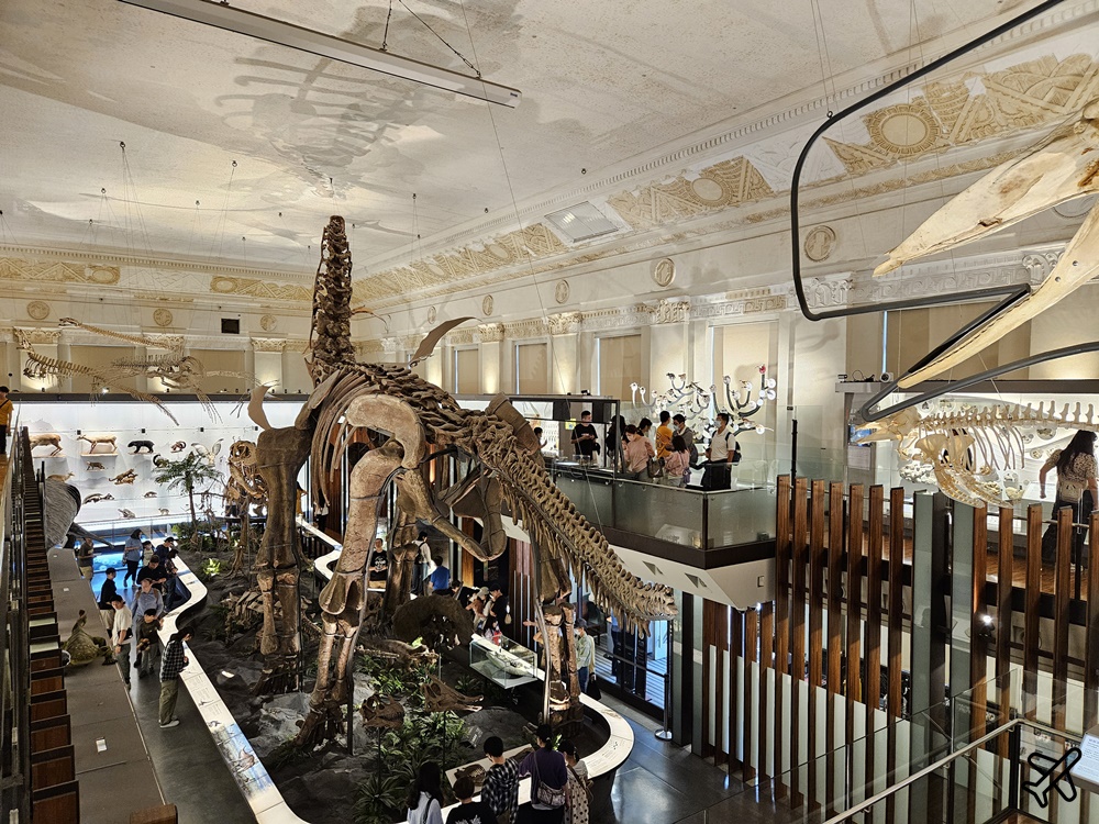 台北景點 台灣博物館 古生物館 土地銀行改建的恐龍博物館 台北一日遊
