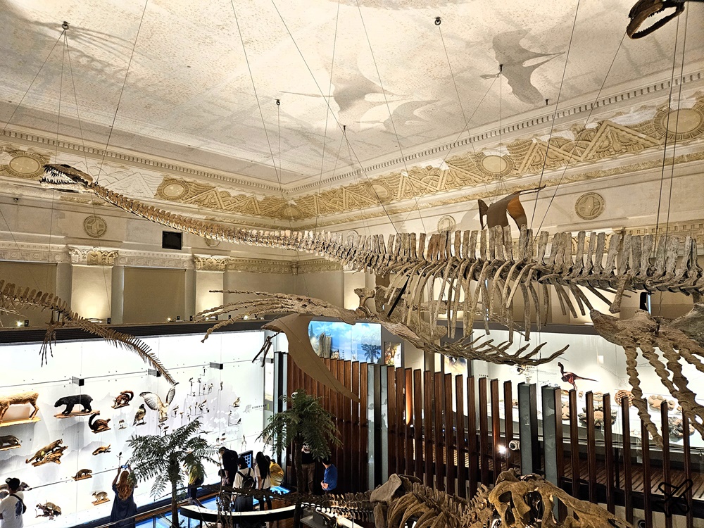 台北景點 台灣博物館 古生物館 土地銀行改建的恐龍博物館 台北一日遊