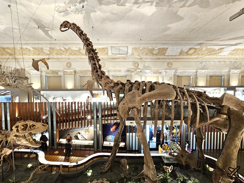 台北景點 台灣博物館 古生物館 土地銀行改建的恐龍博物館 台北一日遊 @AJ的旅行地圖