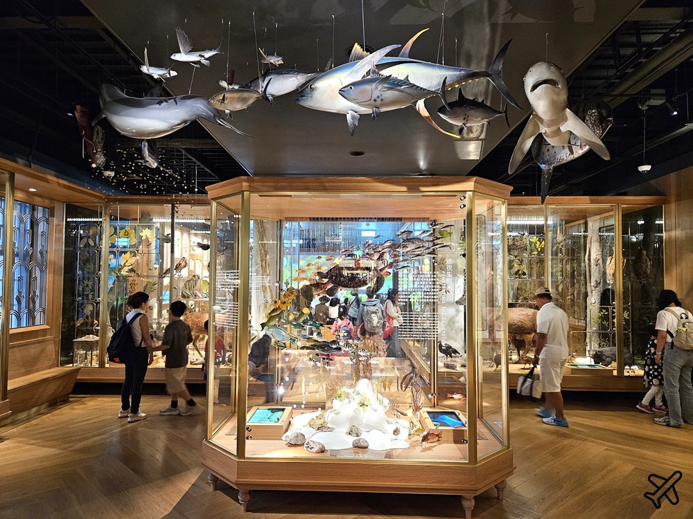 台北景點 國立台灣博物館本館 台灣歷史最悠久的博物館 台北一日遊