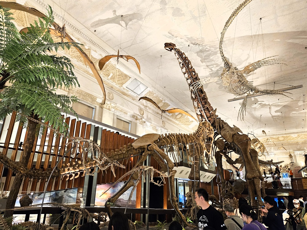 台北景點 台灣博物館 古生物館 土地銀行改建的恐龍博物館 台北一日遊 台北景點 台灣博物館 古生物館 土地銀行改建的恐龍博物館 台北一日遊