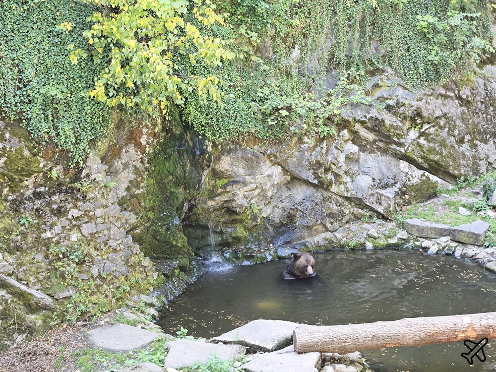 捷克旅遊 庫倫諾夫景點 捷克浪漫小鎮散步一日遊 庫倫洛夫城堡、城堡塔、斗篷橋