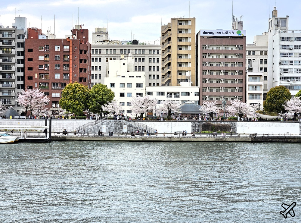 2026東京景點 隅田川、隅田公園看櫻花 東京櫻花景點 東京自由行