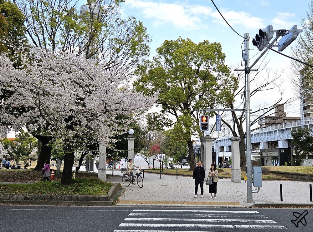 2026東京景點 隅田川、隅田公園看櫻花 東京櫻花景點 東京自由行