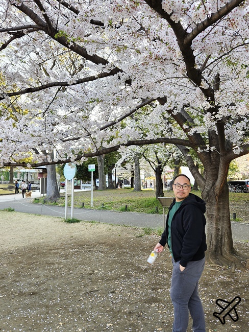 2026東京景點 隅田川、隅田公園看櫻花 東京櫻花景點 東京自由行