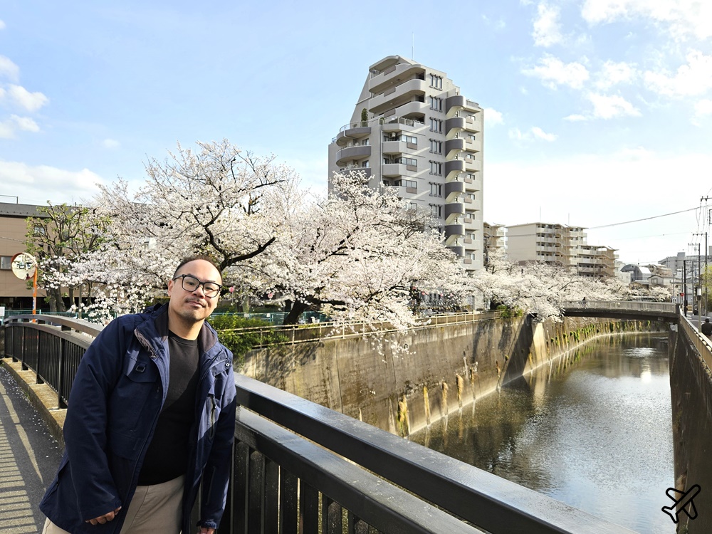 2026東京景點 石神井川櫻花散步道 不輸目黑川的東京櫻花景點 東京自由行推薦
