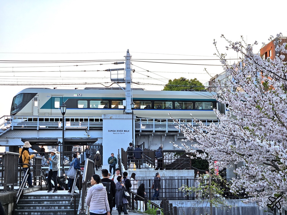 2026東京景點 隅田川、隅田公園看櫻花 東京櫻花景點 東京自由行