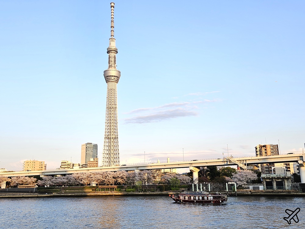 2026東京景點 隅田川、隅田公園看櫻花 東京櫻花景點 東京自由行