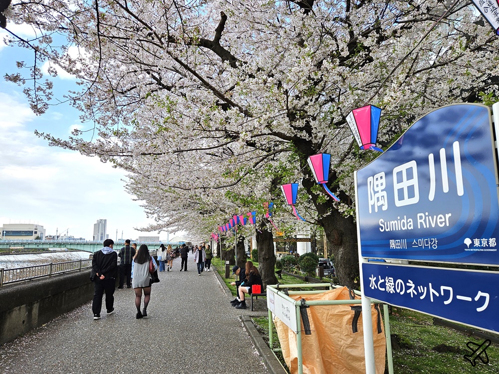2026東京景點 隅田川、隅田公園看櫻花 東京櫻花景點 東京自由行 @AJ的旅行地圖