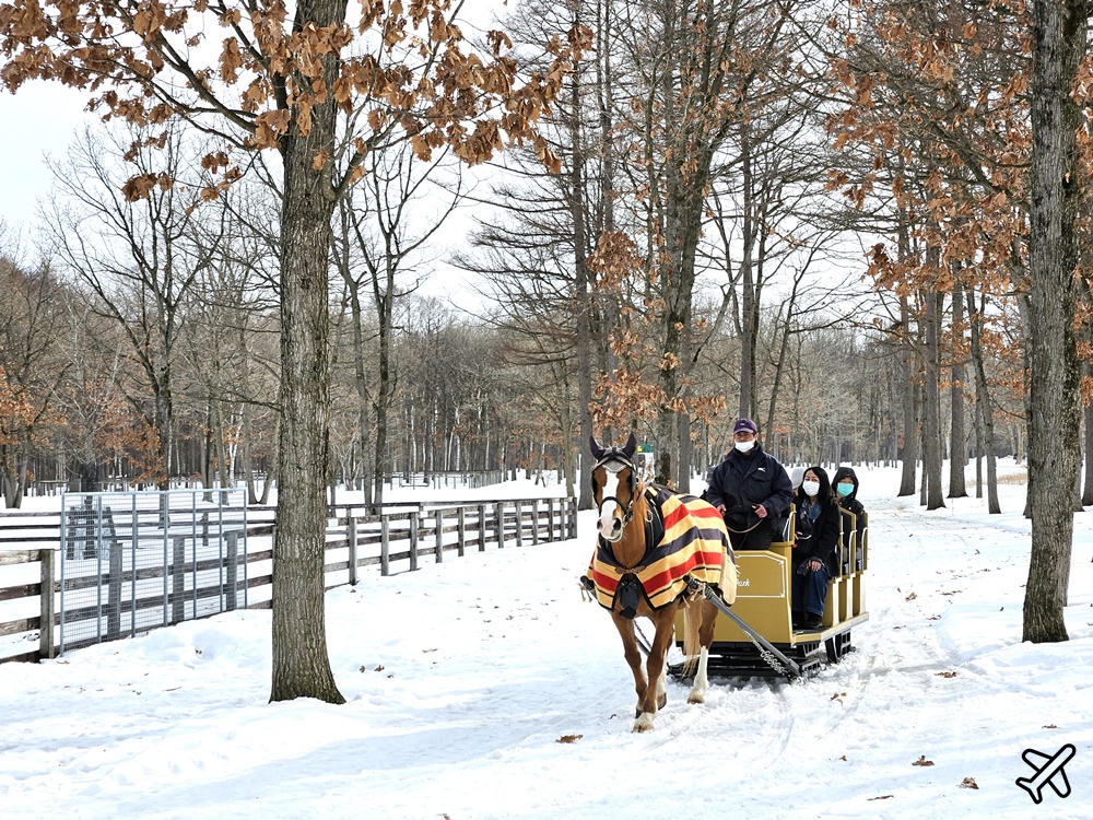 即時熱門文章：北海道旅遊 苫小牧市北方馬公園/北國優駿公園 雪地泛舟、雪地騎馬、雪上摩托車