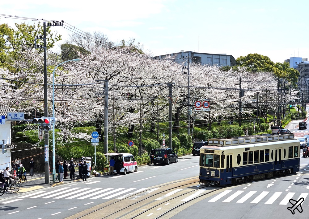 2026東京景點 飛鳥山公園 東京櫻花景點 東京自由行 @AJ的旅行地圖
