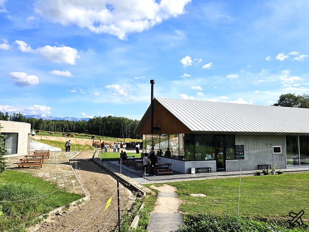 北海道旅遊 美瑛放牧酪農場 來牧場裡吃鮮奶霜淇淋 美瑛美食