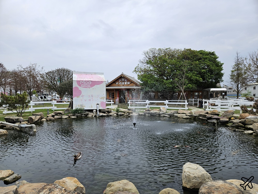 雲林景點 千巧谷牛樂園牧場 鮮乳親子農場 有鮮奶霜淇淋與台式麵包 雲林美食推薦