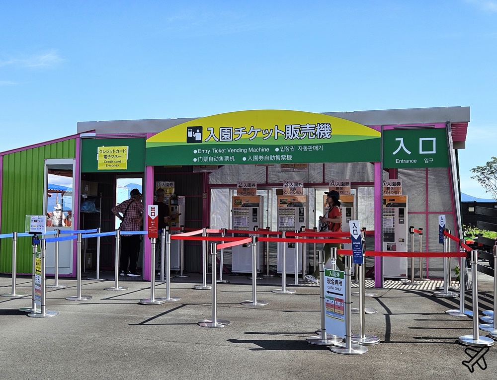 2026北海道旅遊 四季彩之丘 夏季花毯 北海道租車 自駕 北海道景點